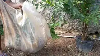Mas Um dia de trabalho 