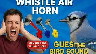 . Whistle Horn RM1300 | Guess the Bird Sound? 🐦🔊 #truckhorn #automobile #loudhorn #automotiveparts 
