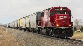 SOLO CP SD60-3 LEADER!!!! CP 6305 leads CP C17 south at Aldersyde, Alberta!