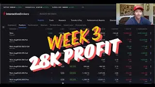 Week 3 Of Trading Options On Tesla - 28k Profit