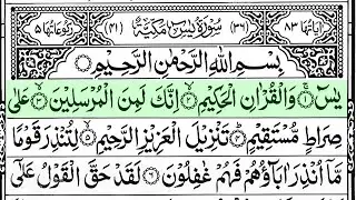 Surah Yaseen Surah Ar Rahman | Best Quran Recitation | Surah Yasin Tilawat | Episode_002