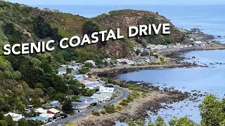 Epic Driving Tour of Wellington's Stunning Bays | New Zealand 2024