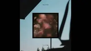 Trenton - Alive (Audio Only)
