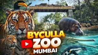 Mumbai&rsquo;s Famous Byculla Zoo 🐧 | Penguins, Animals & Rani Baug Beauty 😍