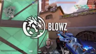 aimer: LEV blowz