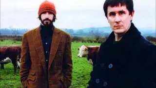 The Mountain Goats  No Surprises