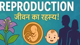 #Biology_02 chapter-01 |#VChemist_point_07x02 |#NEET2026 |#reproduction |#reproductionmcq #cbscboard