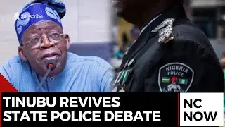 Security Reform: Tinubu Pushes for State Police, Hails Civilian JTF