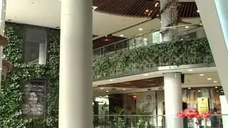 Green Gold shopping center