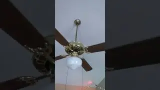 National Ceiling Fan Day Speical: Every fan in my house running on all 3 speeds.