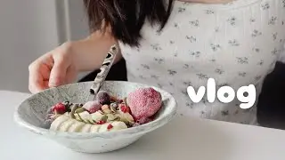 vlog | a korean's daily life in singapore 🫧 office days, packing bento, & baking vegan cookies 🍪