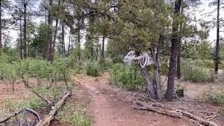 Mountain Biking Show Low's Buena Vista / Secret Trails