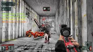 Gunslinger zed time penetration bug
