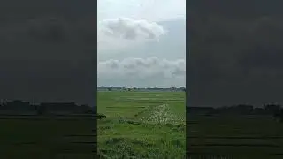 #sunday #morning #trainvideo #naturelovers #cloud #greenery #vandebharat #goodmorningstatus #nature