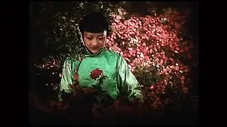 The Toll of the Sea 1922 (upscaled) feat. Anna May Wong, Kenneth Harlan, Priscilla Moran & Cast