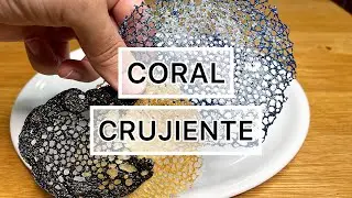 ¡Decora tus platos como un auténtico CHEF!