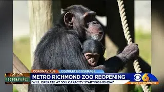 The changes you'll see when Metro Richmond Zoo reopens