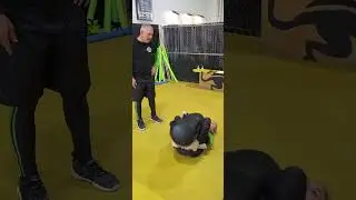 Warrior Martial Arts Certification Seminars Warrior Fight Club #greenwave #shorts #shortsvideo