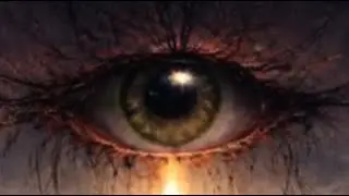 Fear and control / Miedo y control