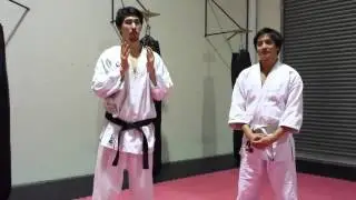 Self Defense Technique - The Spear