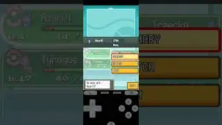 Pokemon Garbage Gold - Part 6 - Fifth Gym - Badge