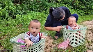 single mother - mother and child harvest papaya flowers, pick up abandoned baby - Ly Tieu Na