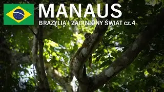 W stolicy Amazonii 🇧🇷