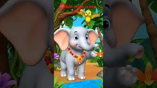 my new video main Jungle ka Raja Hun #like #subscribe 🐘🐘🐘