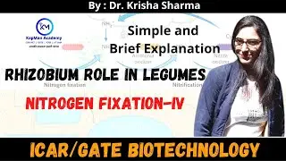 Rhizobium role in leguminous plants for nitrogen fixation || Part- IV ||  #gatebiotech #lifescience