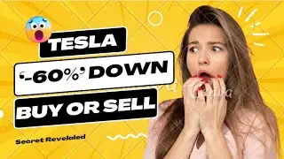Is Tesla Going to collapse ? Buy or Sell ? My Strategy @WisdomInvest
