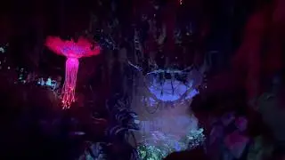 Na'vi River Journey On Ride POV | Animal Kingdom