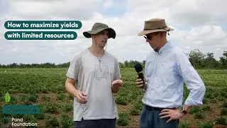 Regenerative farming - How to maximize yields with limited resources