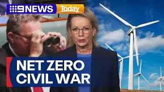 Sussan Ley speaks about ongoing Net Zero party civil war | 9 News Australia