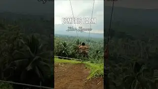 Esmeris Farm in Liliw Laguna, a paradise for nature lovers #shorts #travel #satisfying #glamping