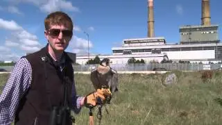 Quill To Power &mdash; короткометражный фильм о странниках Пулбега