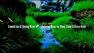 Smooth Jazz & Flowing Water 🌊 | Relaxing Music for Sleep, Study & Stress Relief