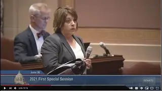 Senate Sends Omnibus Jobs & Economic Growth Bill to Conference Committee