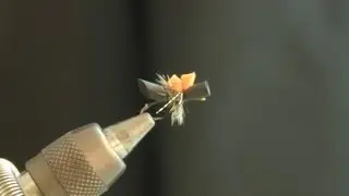 Black Ant - Fly Tying Lesson Video Tutorial by Curtis Fry