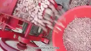 Peanut Shelling Machine in Action &ndash; Efficient Peeling and Shelling for Peanut Processing