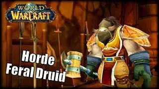 The Classic Armory #4 - Horde Feral Druid