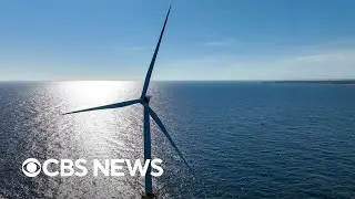 States sue White House for halting wind farm