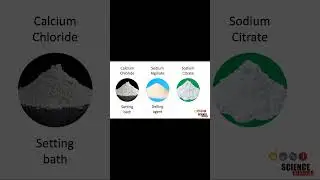 Steps of the Scientific Method Part 2: Background Research and Hypothesis
