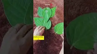 Leaf Art Ganeshji😍#ganesh #ganeshchaturthi #shorts #viral #viralvideo #trending