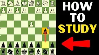 How To Learn ANY Chess Opening - Polish Defense Example Study Session!