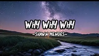 Why why why_SHAWN MENDES (lyrics)