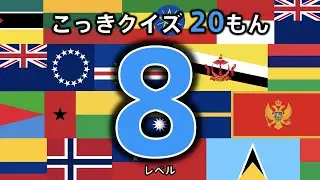 [Flag quiz 20 questions] Level 8 (Which country is this flag?) ◉Flags of the world ◉Japanese