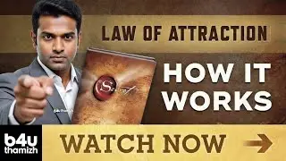 the Law of Attraction: Focus, Filter, and Manifest
