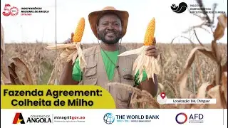 Fazenda Agreement: Colheita de Milho