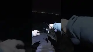 Ajing Fishing.