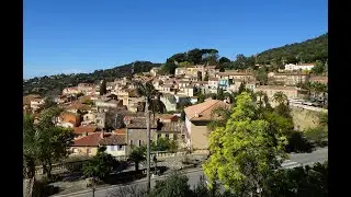 La route du mimosa